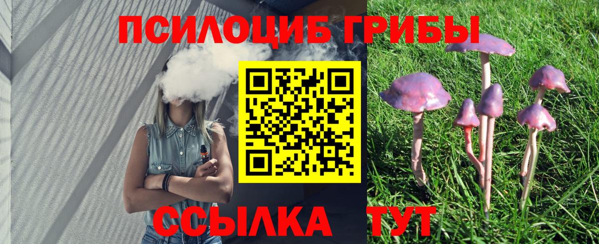 Галлюциногенные грибы GOLDEN TEACHER Михайловск