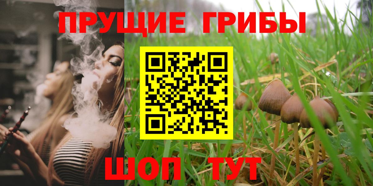 Псилоцибиновые грибы Psilocybe  Вход с VPN  Михайловск 